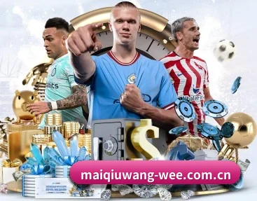 平台简介 - 体育资讯内容服务（maiqiuwang）